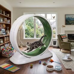 Indoor Cat Exercise Treadmill Wheel