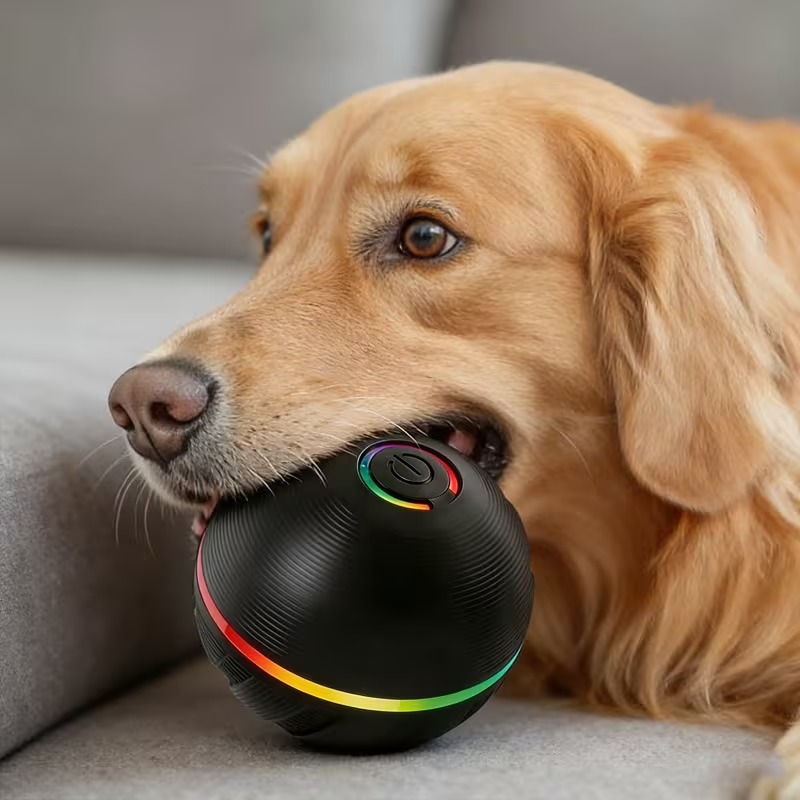 Smart Rechargeable Dog Bouncing Ball Toy